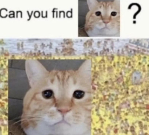 6D3B6761 1D8E 4100 8481 82E0B4252DBA.jpg