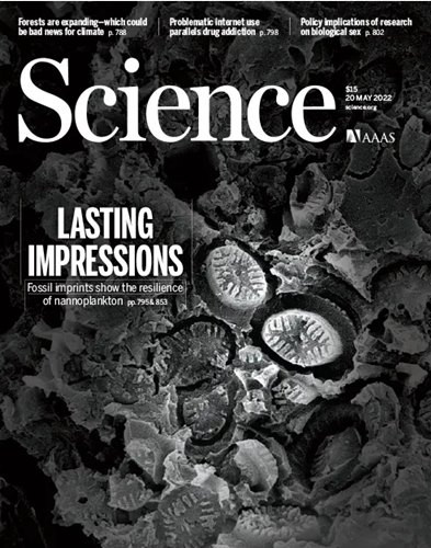 Science – Volume 376 Issue 6595, 20 May 2022