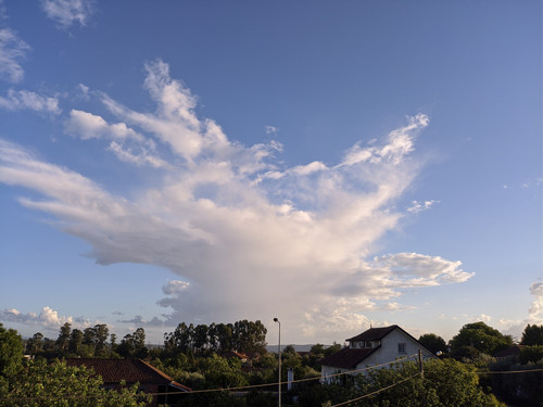 IMG 20220601 195850.jpg