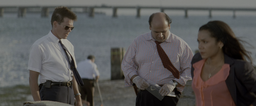 Wild.Things.1998.Unrated.Cut.2160p.HDR.UHD.BluRay.DTS HD.MA.5.1.2Audio.x265 10bit HDS.mkv 20220526 1.png