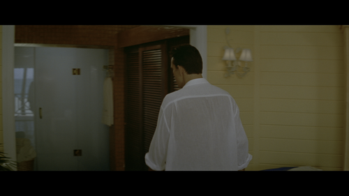 Wild.Things.Unrated.Cut.1998.UHD.BluRay.REMUX.2160p.HEVC.DTS HD.MA5.1 HDS.mkv 20220526 110319.977.png