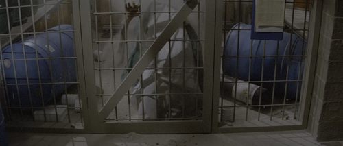 Lifeforce.1985.1080p.Pad HDR.UHD.BluRay.AAC.x265 10bit HDSPad.mp4 20220529 154853.258.png