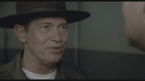 Stripes.1981.Theatrical.Cut.UHD.BluRay.REMUX.2160p.HEVC.TrueHD7.1.Atmos HDS.mkv 20220603 145902.187.png