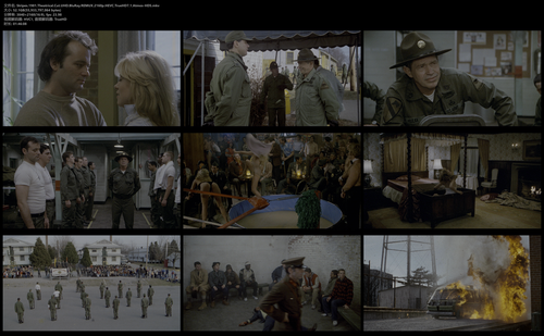 Stripes.1981.Theatrical.Cut.UHD.BluRay.REMUX.2160p.HEVC.TrueHD7.1.Atmos HDS.mkv.png