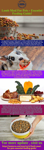 Lamb Meal For Pets – Essential Feeding Guide!.jpg