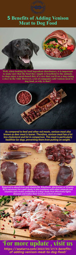 5 Benefits of Adding Venison Meat to Dog Food.jpg