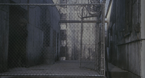 Stripes.1981.Extended.Cut.2160p.HDR.UHD.BluRay.TrueHD.7.1.Atmos.x265 10bit HDS.mkv 20220604 183830.6.png