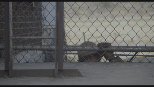 Stripes.1981.Extended.UHD.BluRay.REMUX.2160p.HEVC.TrueHD7.1.Atmos HDS.mkv 20220604 154441.175.png