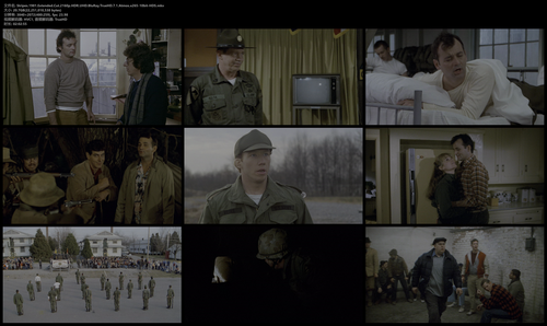 Stripes.1981.Extended.Cut.2160p.HDR.UHD.BluRay.TrueHD.7.1.Atmos.x265 10bit HDS.mkv.png