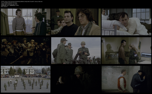 Stripes.1981.Extended.UHD.BluRay.REMUX.2160p.HEVC.TrueHD7.1.Atmos HDS.mkv.png