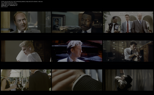 Beverly.Hills.Cop.II.1987.UHD.BluRay.REMUX.2160p.HEVC.DTS HD.MA5.1 HDS.mkv.png