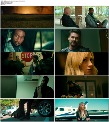 一日赴死.A.Day.to.Die.2022.1080p.BluRay.DTS.x265 10bit HDS.mkv.png