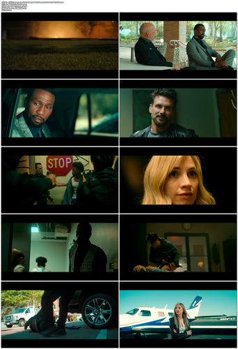 一日赴死.A.Day.to.Die.2022.BluRay.REMUX.1080p.AVC.DTS HD.MA5.1 HDS.mkv.png
