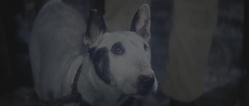 Oliver!.1968.1080p.Pad HDR.UHD.BluRay.AAC.2Audio.x265 10bit HDSPad.mp4 20220602 061943.547.png