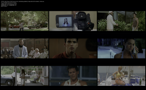 Wild.Things.1998.Theatrical.Cut. UHD.BluRay.REMUX.2160p.HEVC.DTS HD.MA5.1 HDS.mkv.png