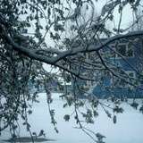майский снег (Foto_1_23_05_2022)