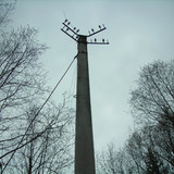 столб #1 (Foto_3_23_05_2022)