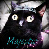majestic zpsa8c1rg22