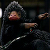 Niffler 2 100 001 zpsbzv7o0pj.png