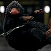 Niffler 100 001 zpsyvzboyxl.png