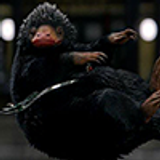 Niffler 100 001 zpsyvzboyxl