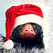 Fantastic Christmas FB Icon 01 zpsu7icdvnd.jpg