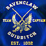 Qudditch Ravenclaw 100 2 zpszjugpnko