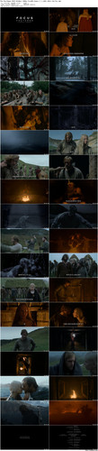 The.Northman.2022.BluRay.1080p.TrueHD.Atmos.7.1.x265.10bit BeiTai preview.jpg