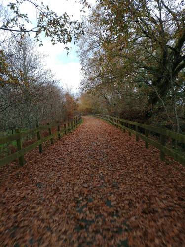 20211225 151746 HDR.jpg