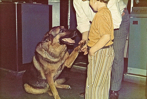 1972 Version 2.jpg