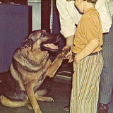 1972 Version 2