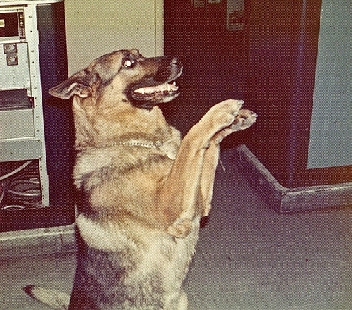 1972 Version 4.jpg
