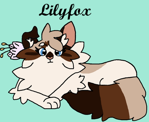 lilyfox
