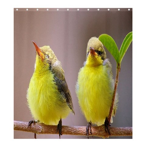 Shower0134 Bath Shower Curtain Twin Birds Beautiful Nature Animal Animation Fantasy.jpg