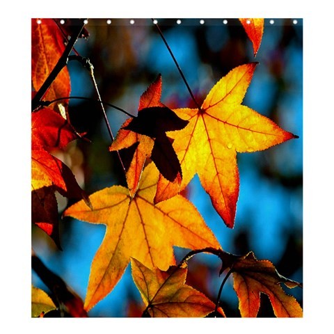 Shower0157 Bath Shower Curtain Autumn Leaves Beautiful Nature Leaf Spring Design Animation Fantasy.jpg