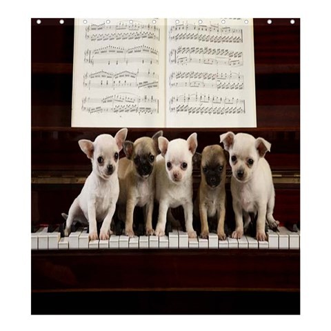 Shower0203 Bath Shower Curtain Chihuahua Concert Piano Cute Funny Little Dog Animal Anime Fantasy.jpg