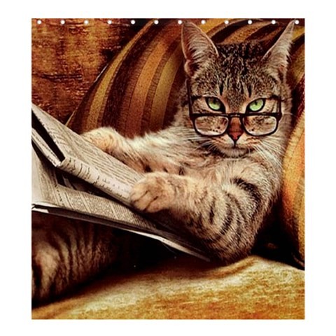 Shower0194 Bath Shower Curtain Cat Cute Cat Wearing Glasess And Reading Newspaper Nature Editions.jpg