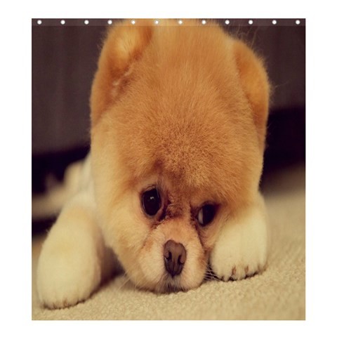 Shower0212 Bath Shower Curtain Dog Cute Funny Brown Dog Animal Nature Animation Fantasy For Game.jpg