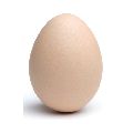 egg120.jpg