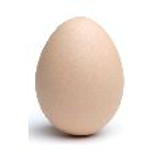 egg120