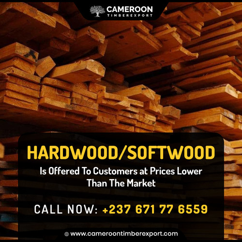 122 Hardwood Softwood.jpg