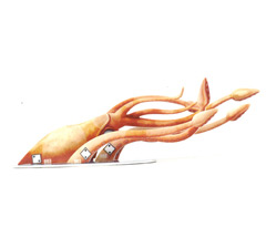 DJC 003.jpg