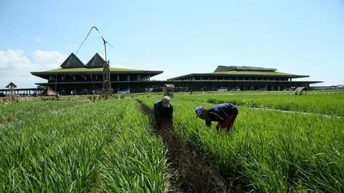 051615100 1654657521 bandara Banyuwangi 1.jpg