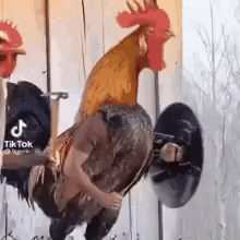 ZKMVmQ.gif