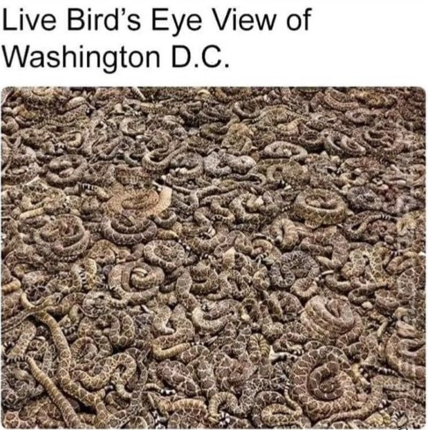 ZKTvG2.jpg
