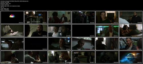 Chicago.PD.S10E04.720p.HEVC.x265 MeGusta.jpg