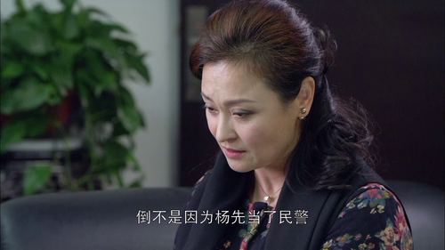 Police.Story.2016.E01.1080p.WEB DL.AAC.H264 OurTV.thumb 02.png