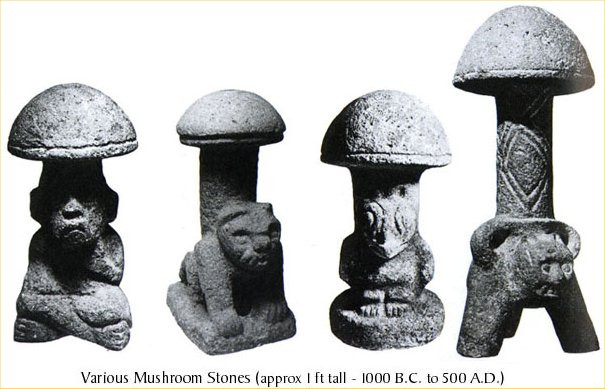 ZbNEyG.jpg