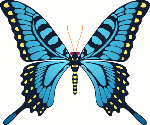 butterfly ani.gif
