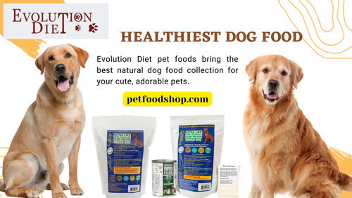 Buy Natural & Healthiest Dog Food.png